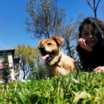 Patisever kampüsler