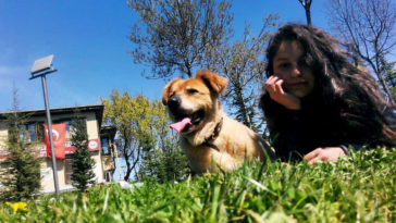 Patisever kampüsler