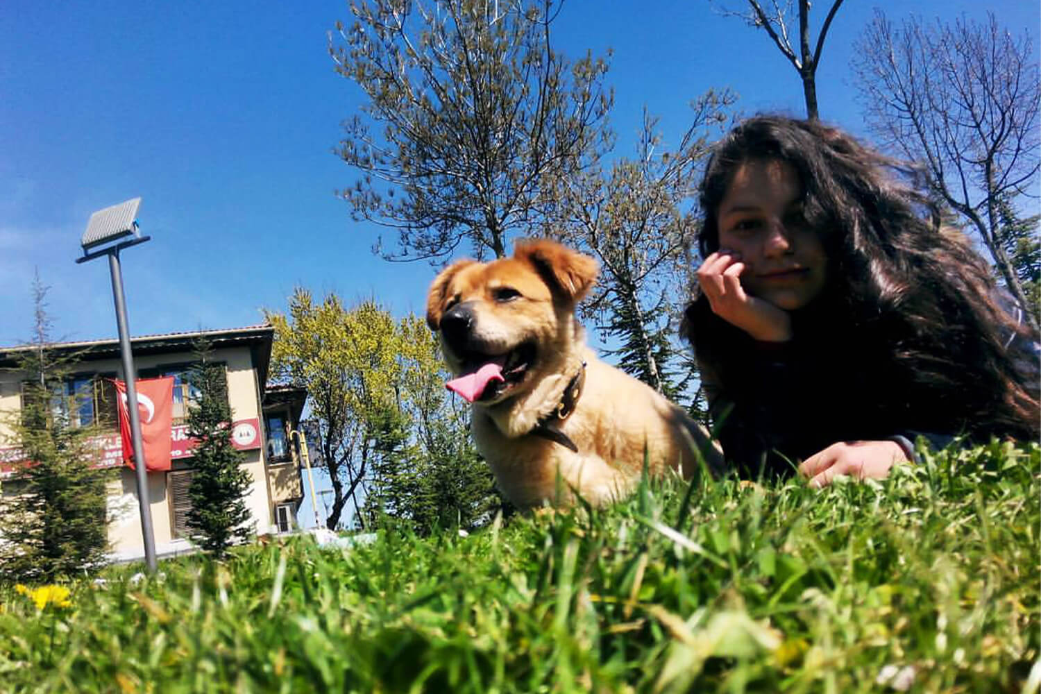 Patisever kampüsler