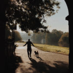 köpek korkusu neden olur