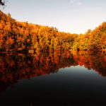 Yedigöller Milli Parkı