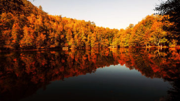 Yedigöller Milli Parkı