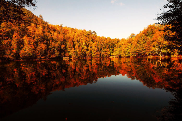 Yedigöller Milli Parkı