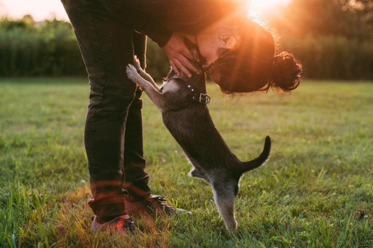 Üniversitelerin Hayvansever Toplulukları