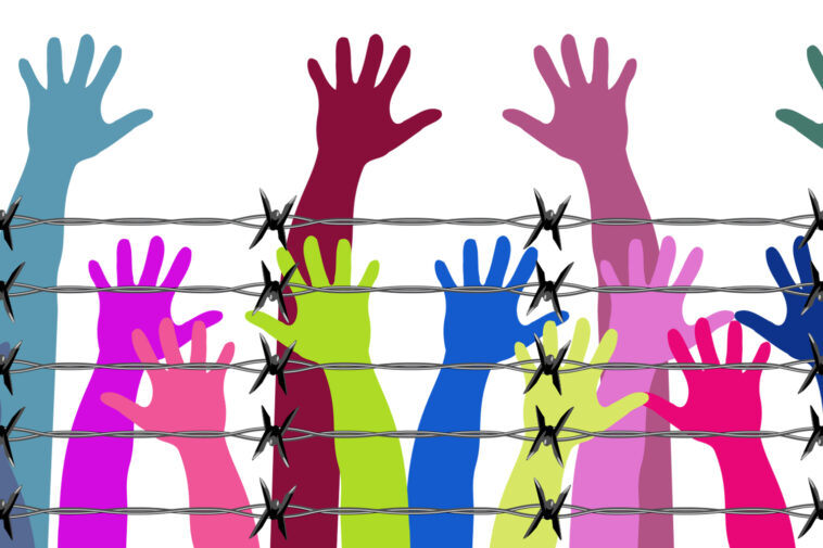 insan hakları evrensel beyannamesi